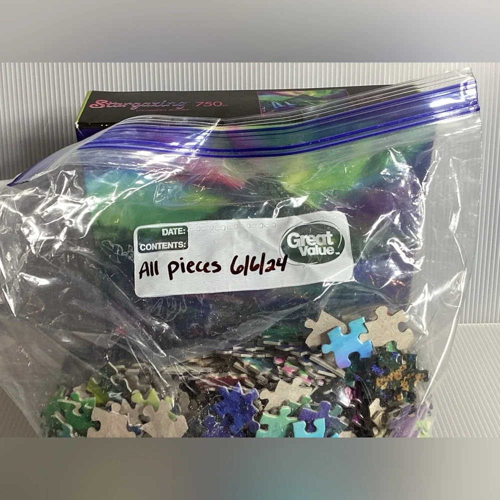Stargazing Enchanted Aurora 750 Piece Puzzle